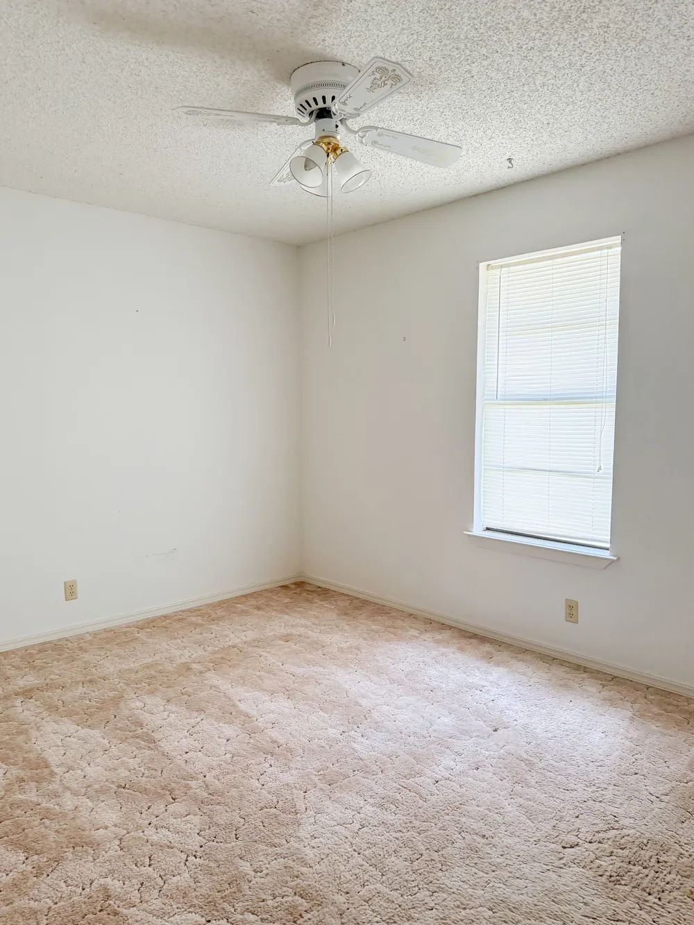 5210 Wildwood Drive Wichita Falls, TX 76302