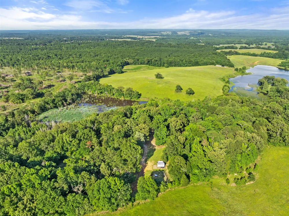 1075 An County Road 323 Palestine, TX 75803