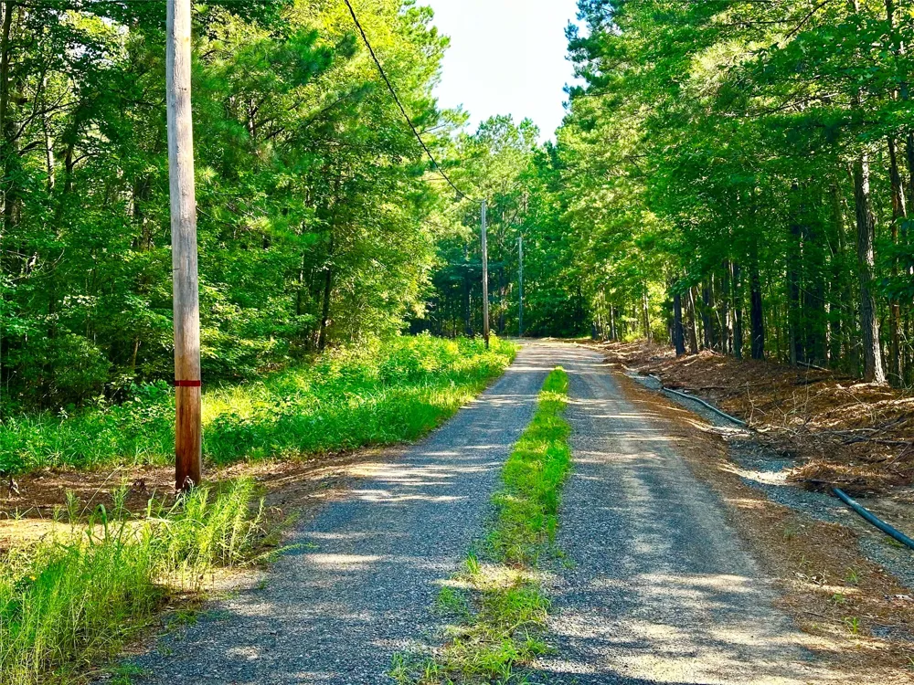 Hwy 808 Haynesville, LA 71038