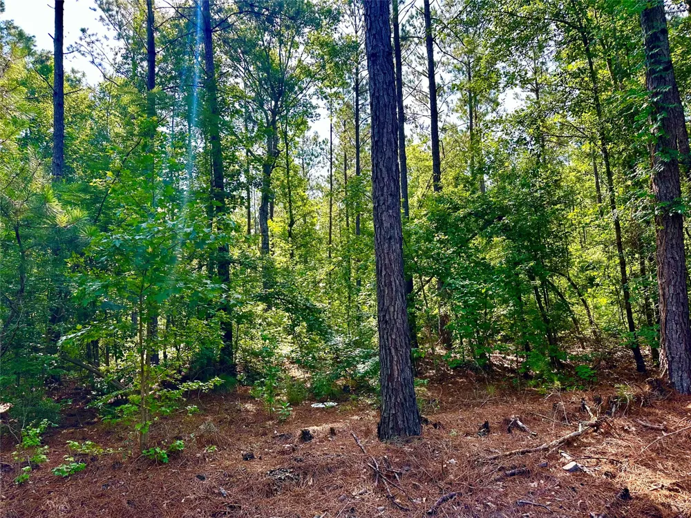 Hwy 808 Haynesville, LA 71038