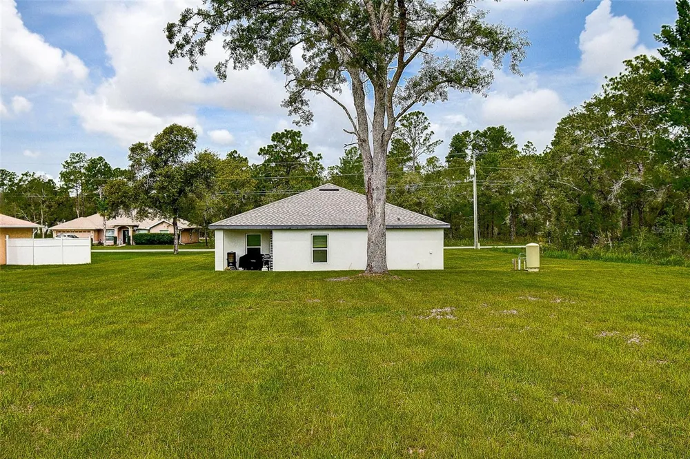 11014 GOLDEN WARBLER Brooksville, FL 34613