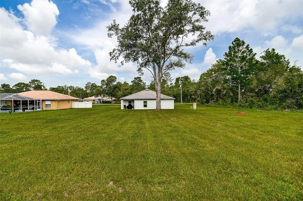 11014 GOLDEN WARBLER Brooksville, FL 34613