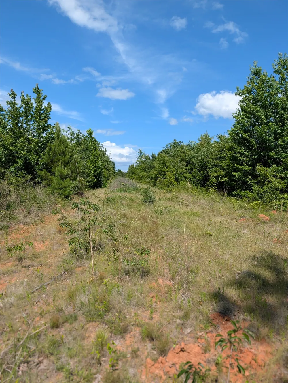 County Road 4507 De Kalb, TX 75559