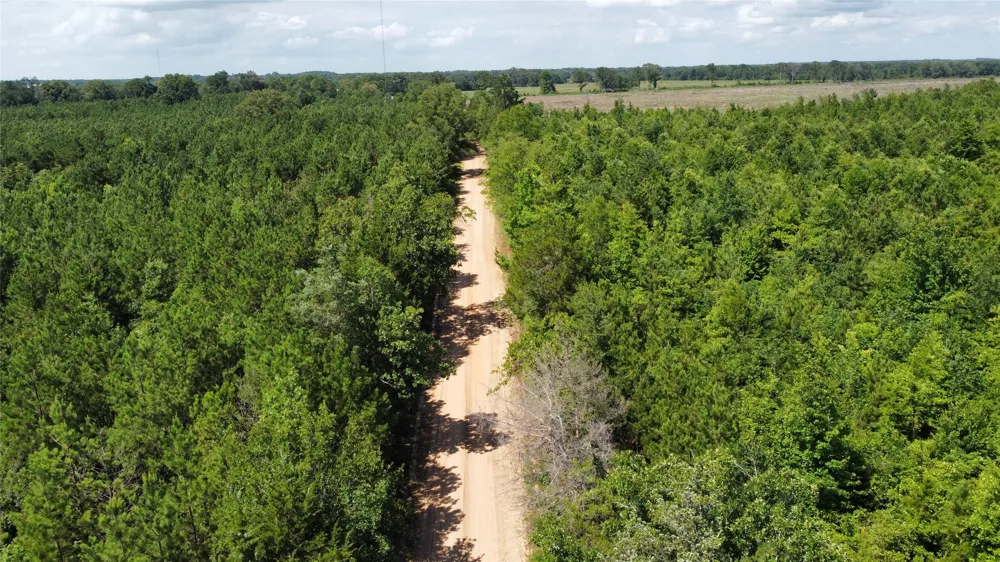County Road 4507 De Kalb, TX 75559