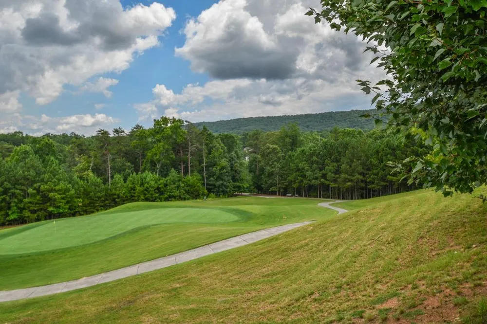 173 Indian Oak Drive Waleska, GA 30183
