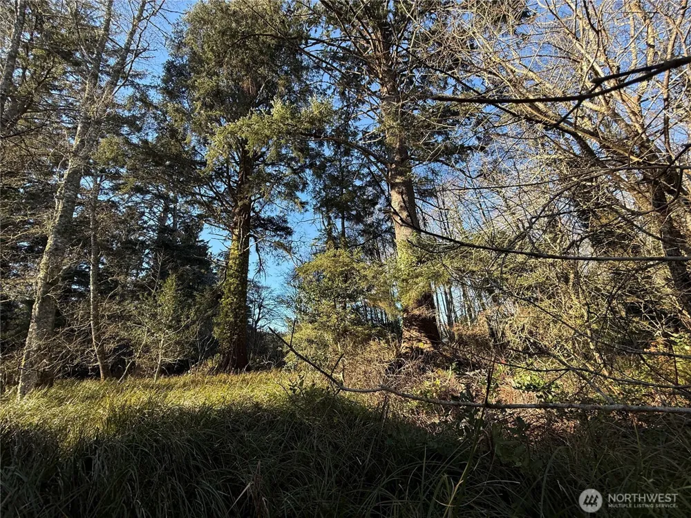 27399 Sandridge Road Ocean Park, WA 98640