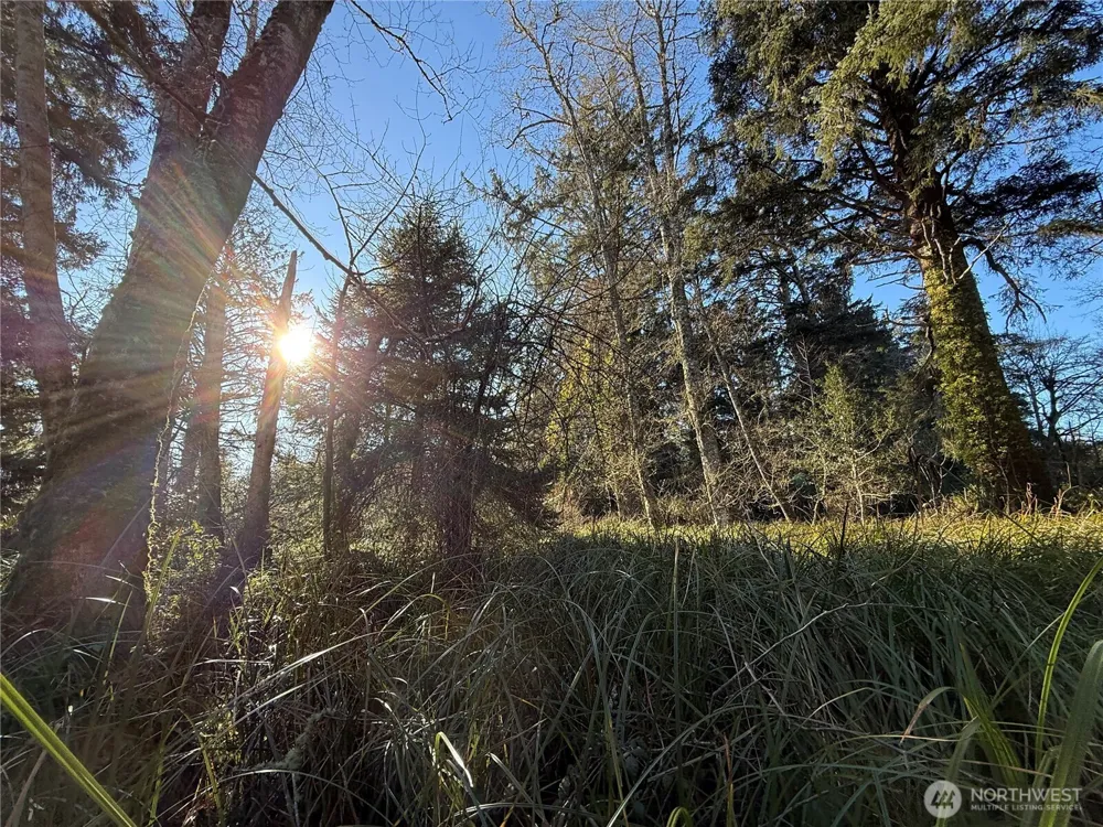 27399 Sandridge Road Ocean Park, WA 98640