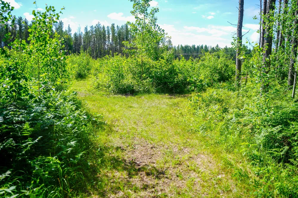 28391 County 109 Menahga, MN 56464