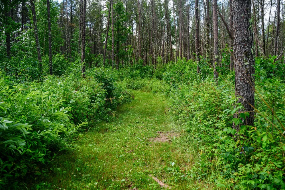 28391 County 109 Menahga, MN 56464
