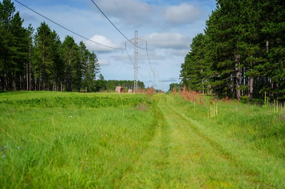 28391 County 109 Menahga, MN 56464