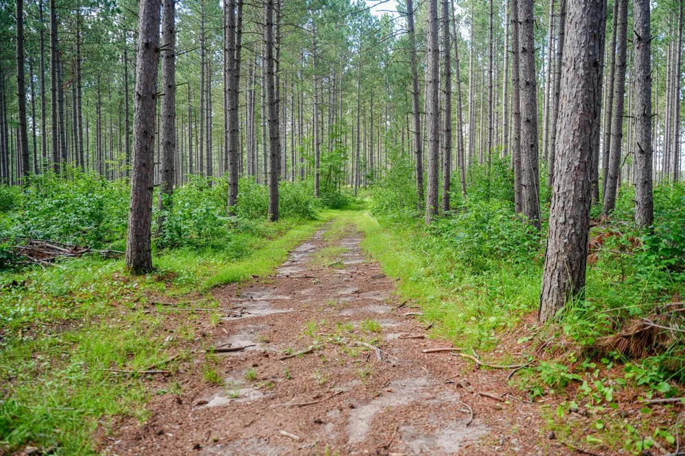 28391 County 109 Menahga, MN 56464