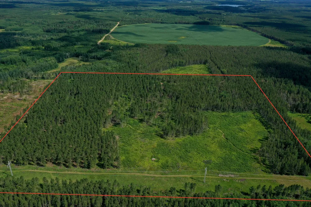 28391 County 109 Menahga, MN 56464