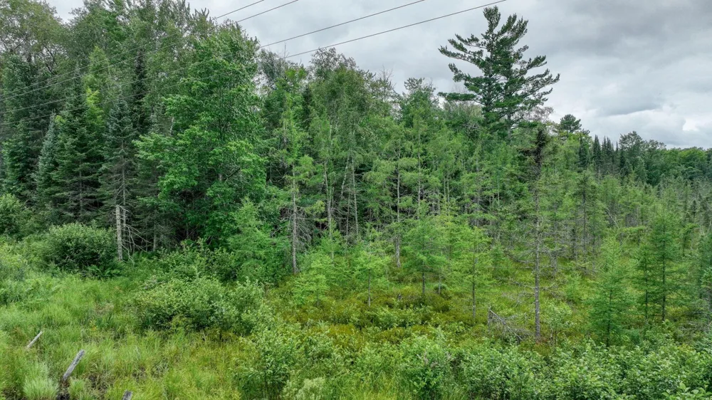 4E Twin Lake Road Hayward, WI 54843