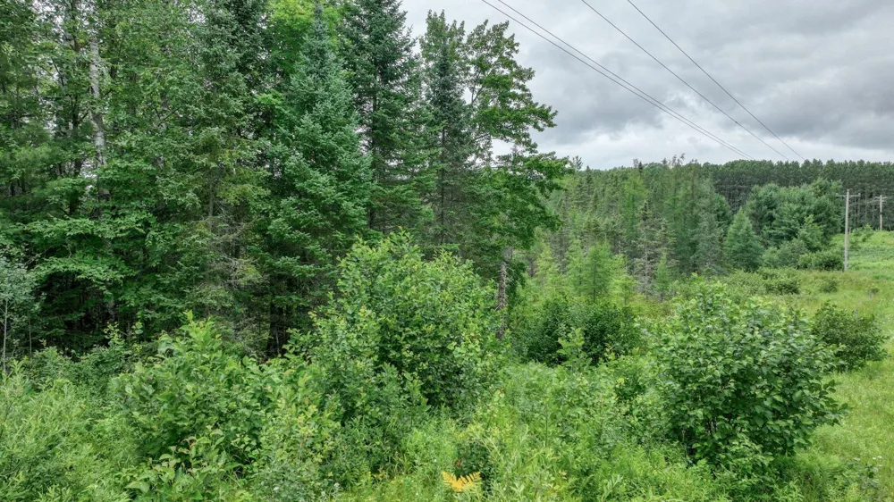 4E Twin Lake Road Hayward, WI 54843