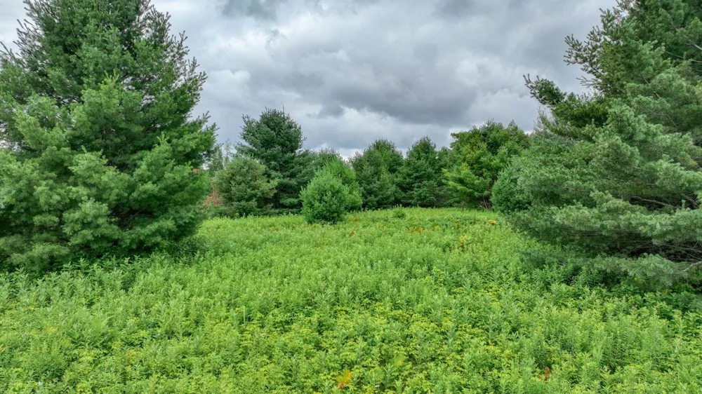 4E Twin Lake Road Hayward, WI 54843