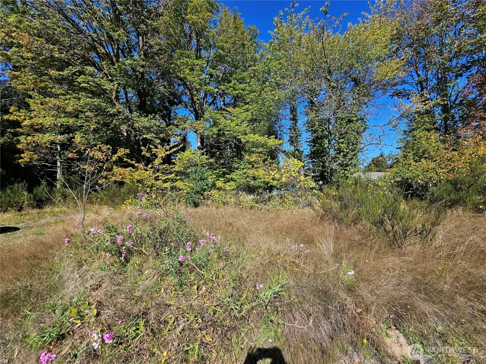 22550 NE SR-3 Highway Belfair, WA 98528