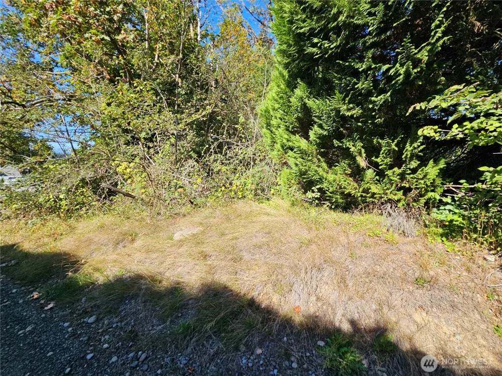 22550 NE SR-3 Highway Belfair, WA 98528