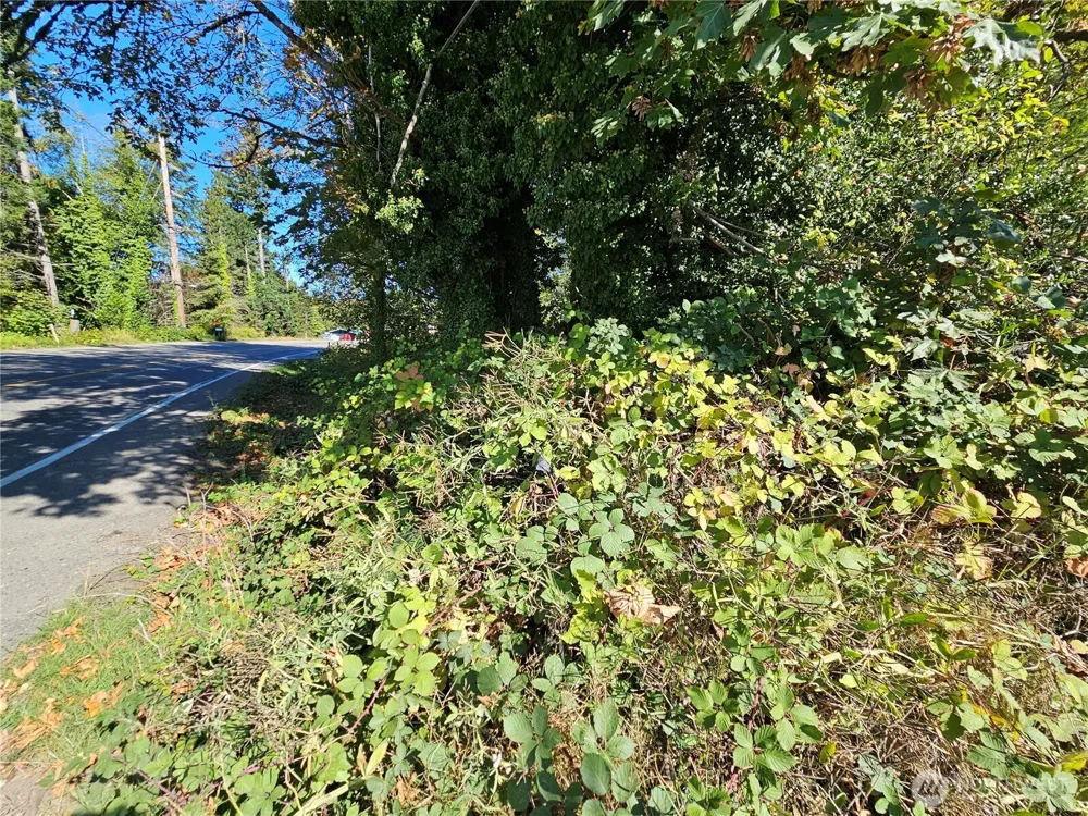 22550 NE SR-3 Highway Belfair, WA 98528