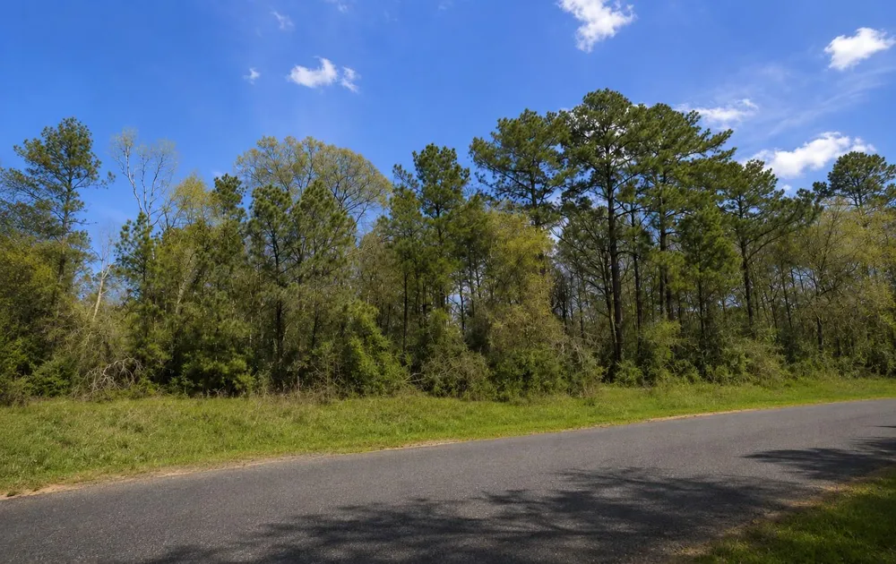 178 Rustic Ranch Drive New Waverly, TX 77340