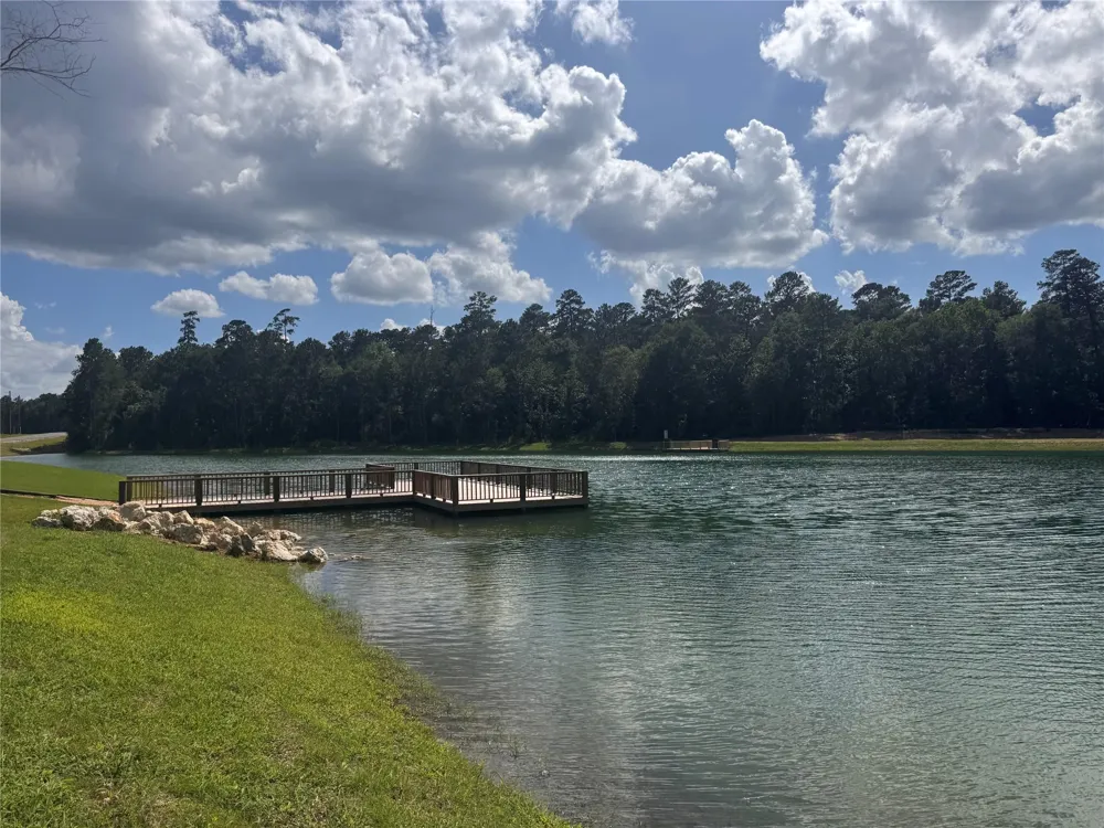 178 Rustic Ranch Drive New Waverly, TX 77340