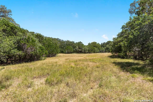 1187 LONG MDW Spring Branch, TX 78070
