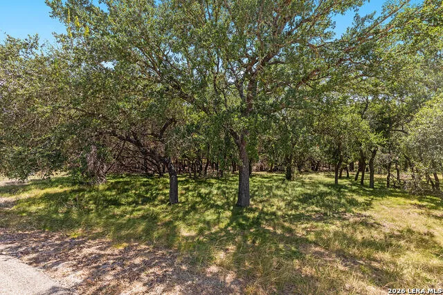 1187 LONG MDW Spring Branch, TX 78070