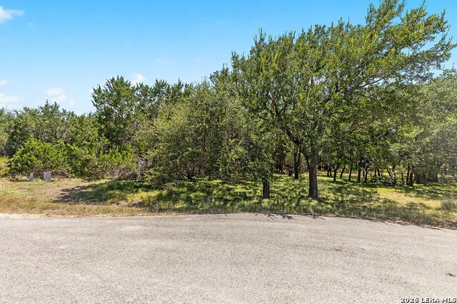 1187 LONG MDW Spring Branch, TX 78070