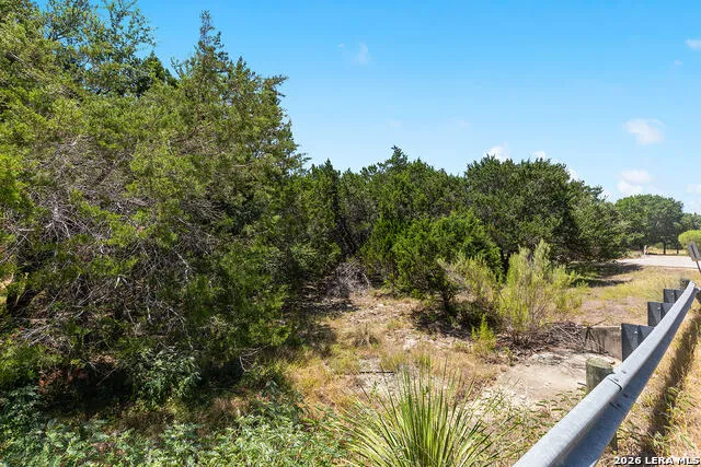 1187 LONG MDW Spring Branch, TX 78070
