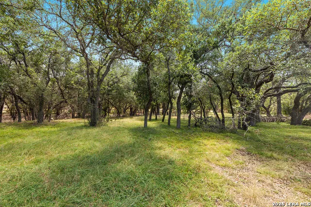 1187 LONG MDW Spring Branch, TX 78070