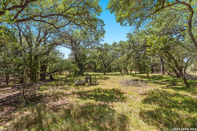 1187 LONG MDW Spring Branch, TX 78070