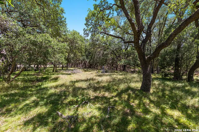 1187 LONG MDW Spring Branch, TX 78070