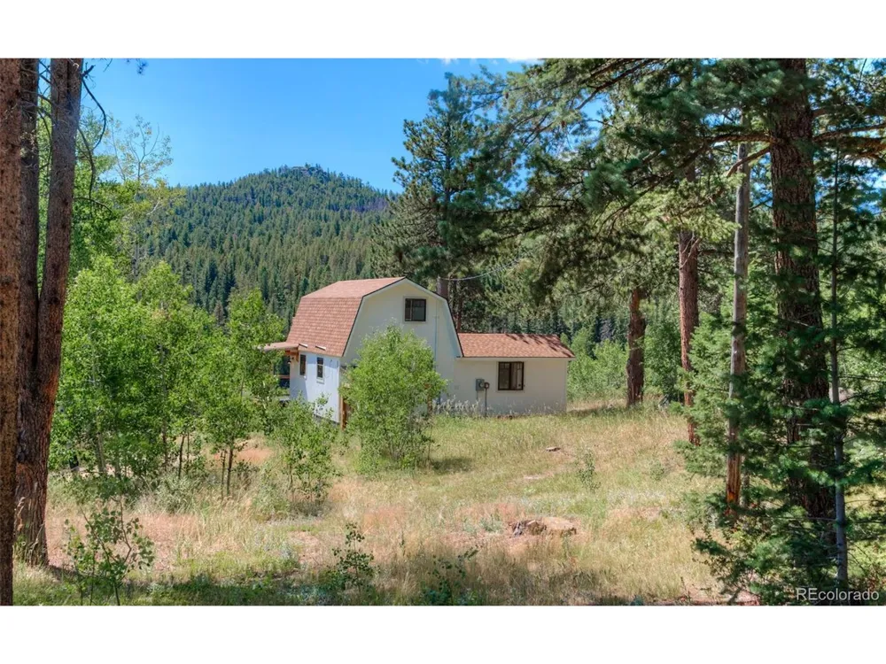 1820 Lazy Z Road #A Nederland, CO 80466