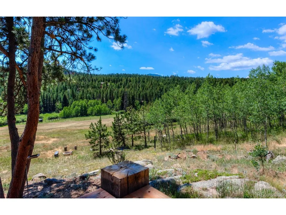 1820 Lazy Z Road #A Nederland, CO 80466