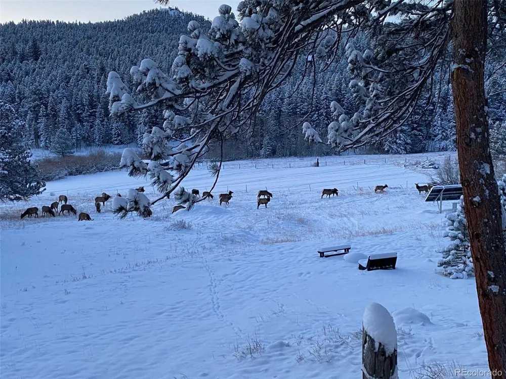 1820 Lazy Z Road #A Nederland, CO 80466