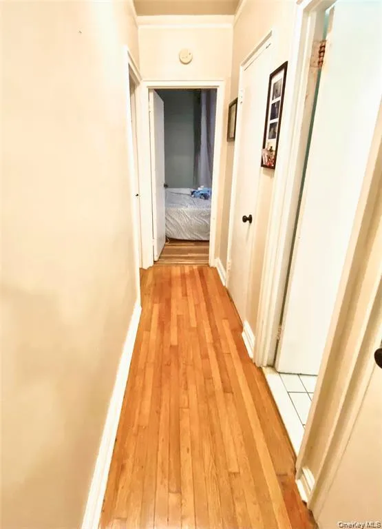 190 E Mosholu Parkway S #1J Bronx, NY 10458