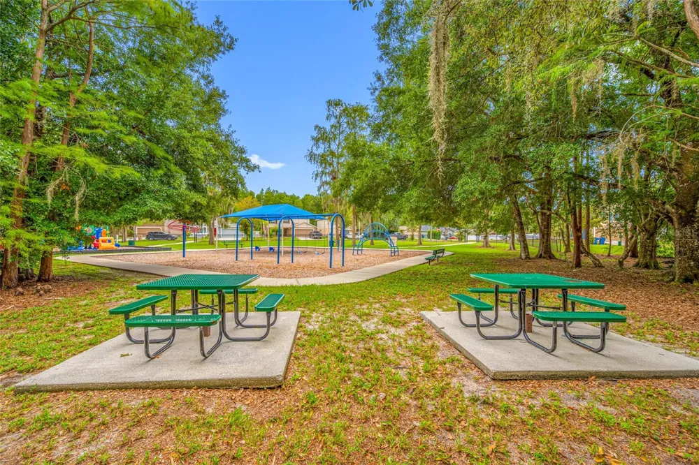 13953 JACOBSON DRIVE Odessa, FL 33556