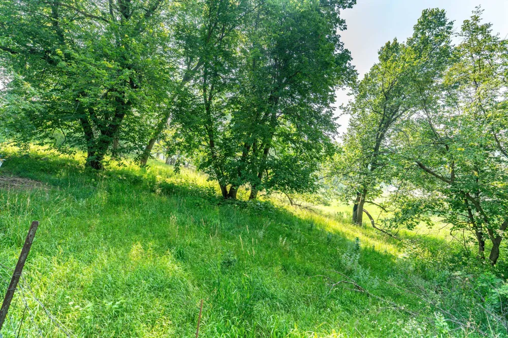 33667 County Highway 27 Erhard, MN 56534