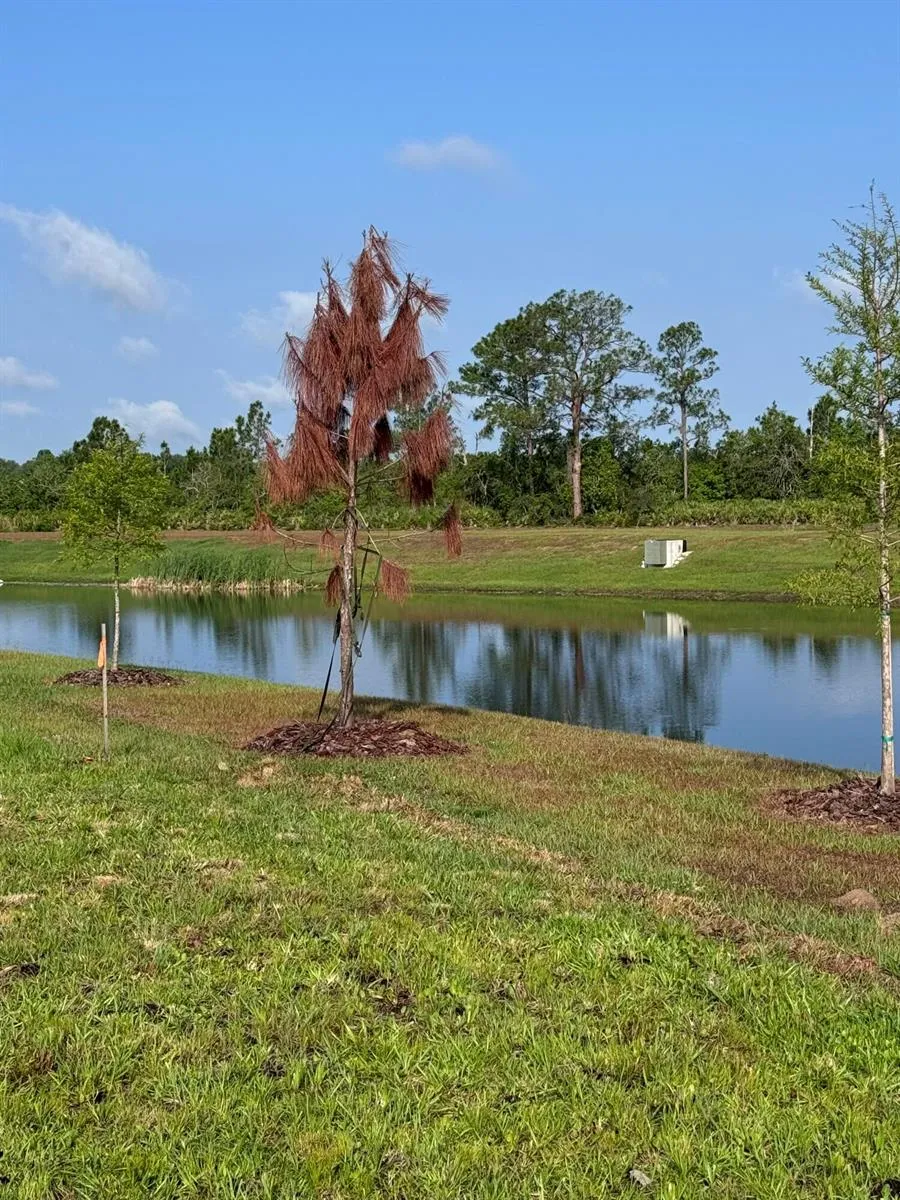 3015 Sanctuary Drive Clermont, FL 34714