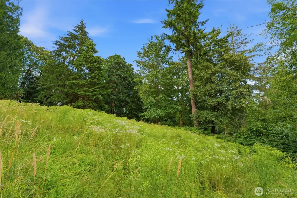3133 36th Avenue Ct NW Gig Harbor, WA 98335