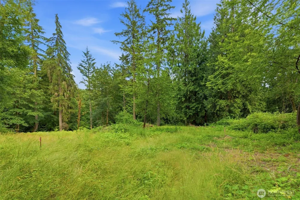 3133 36th Avenue Ct NW Gig Harbor, WA 98335
