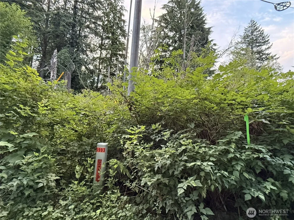 1 Bumgarner Road Arlington, WA 98223