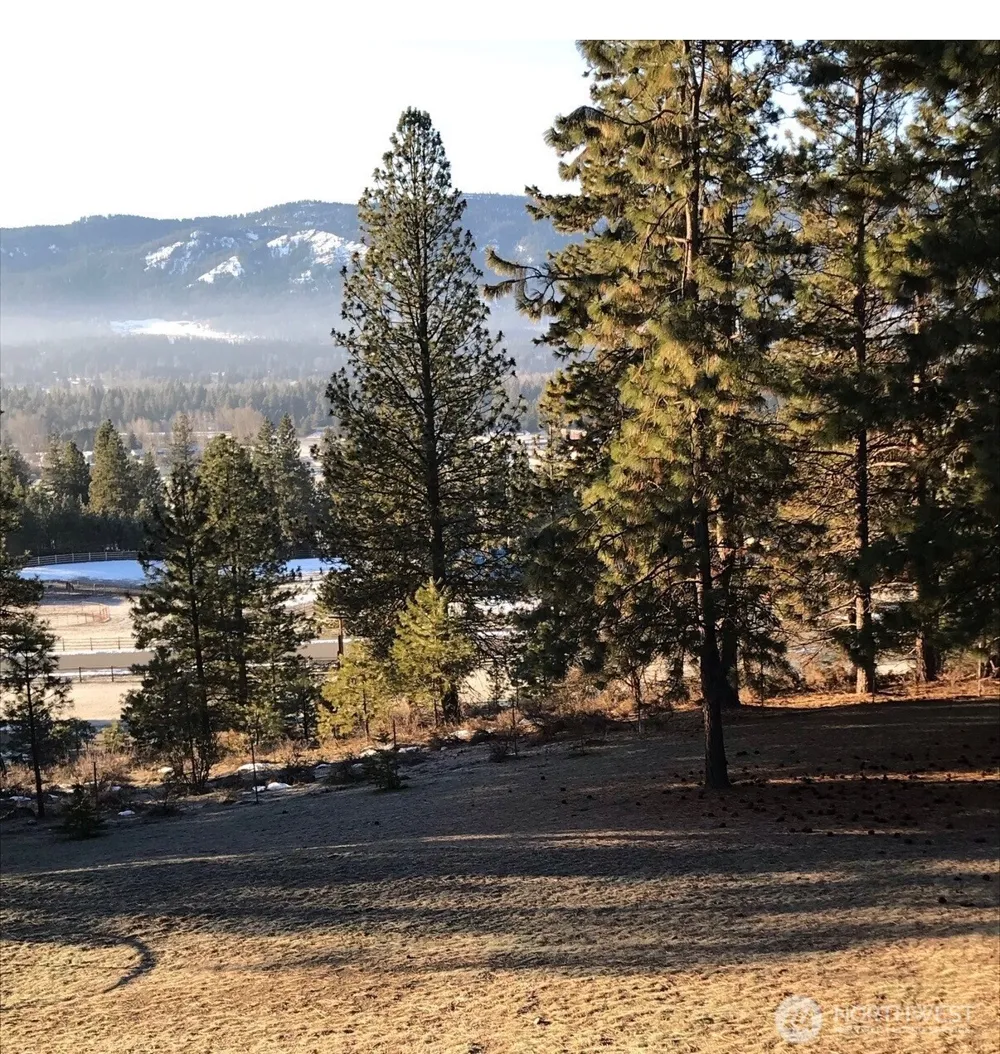 1150 White Road Cle Elum, WA 98922
