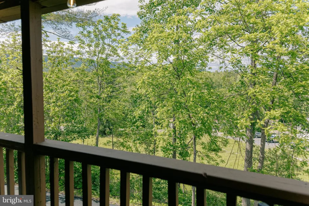 140 THE HILL #M-20 Basye, VA 22810