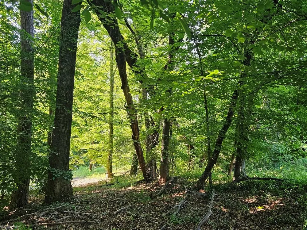 0 S Brenhaven Drive Elkin, NC 28621