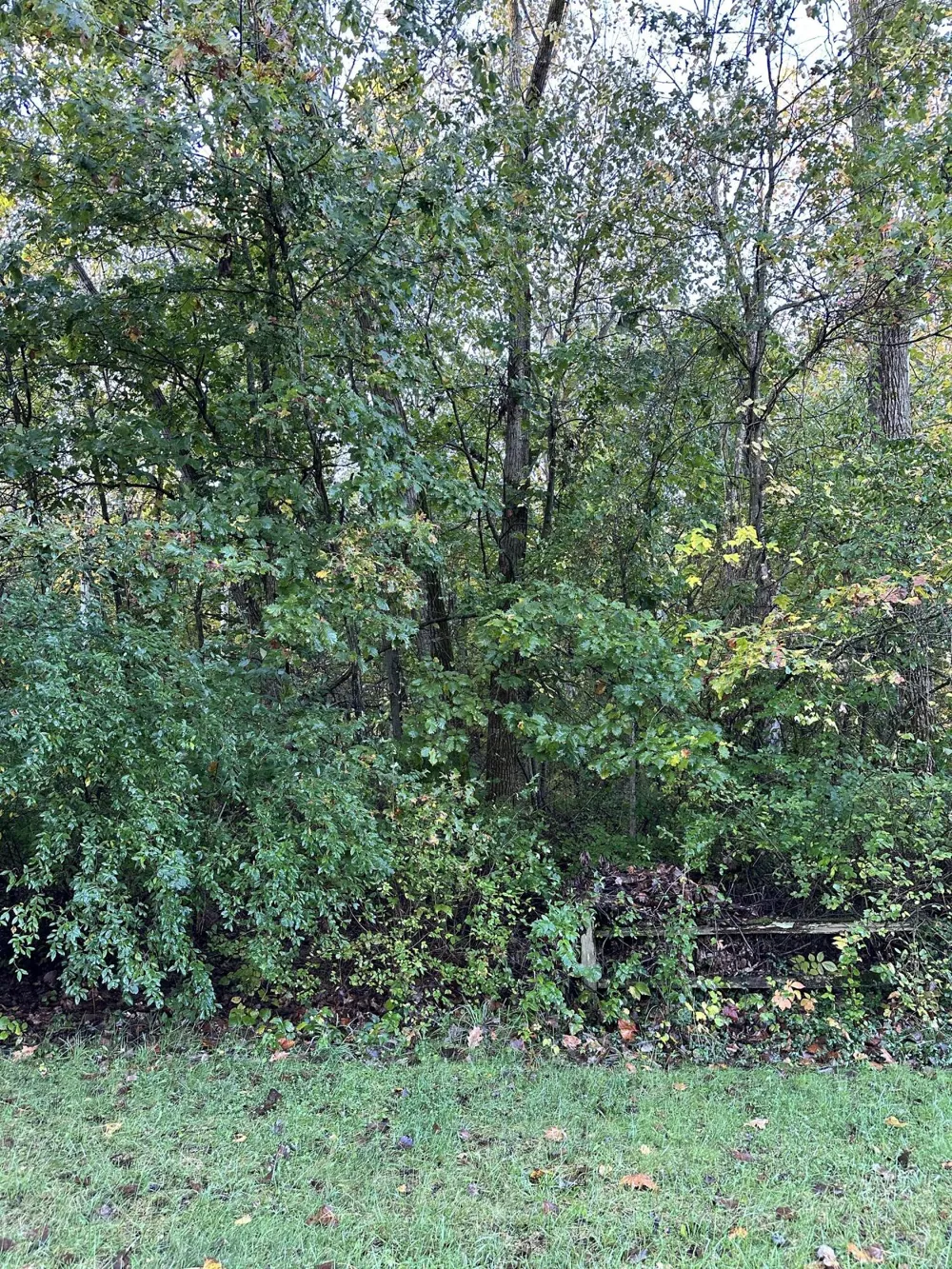 1544 Echo Valley Drive Niles, MI 49120