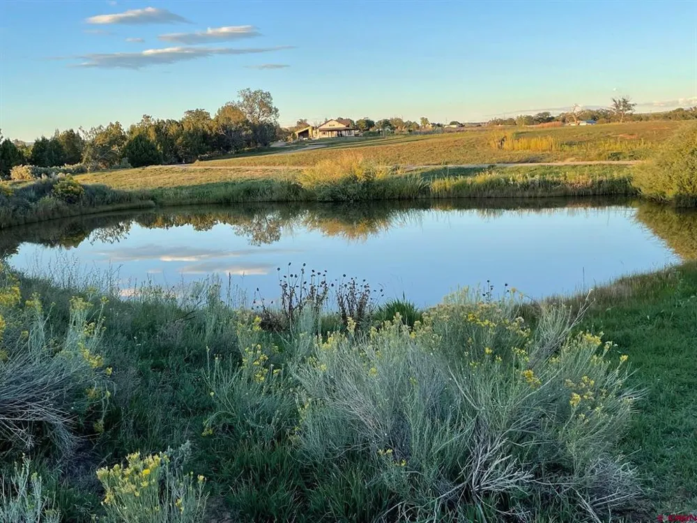 16388 Road 21.4 Cortez, CO 81321