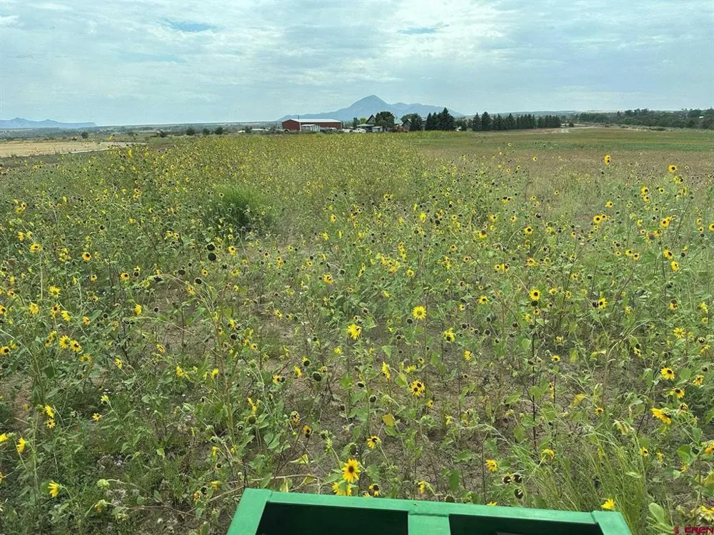 16388 Road 21.4 Cortez, CO 81321