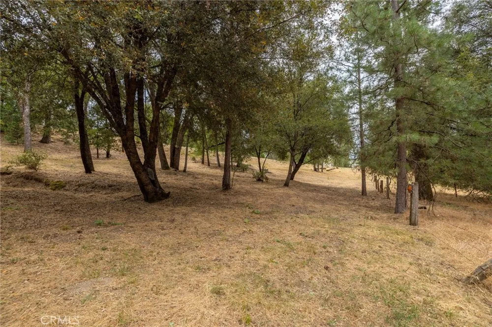 5655 Harris Cut Off Mariposa, CA 95338