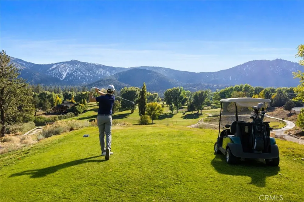 16421 Grizzly Drive Pine Mountain Club, CA 93222