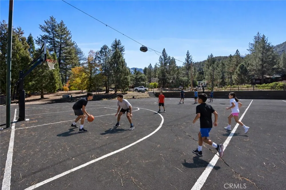 16421 Grizzly Drive Pine Mountain Club, CA 93222